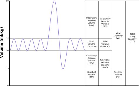 tidal volume vs vital capacity